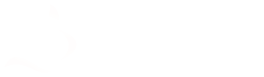 Veritas Insurance Group homepage